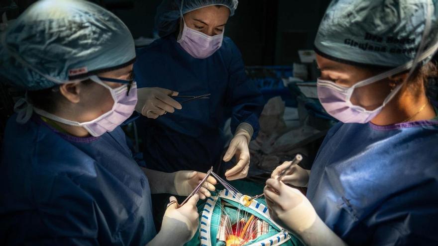 Las enfermedades cardiovasculares causan una de cada cuatro muertes en Canarias