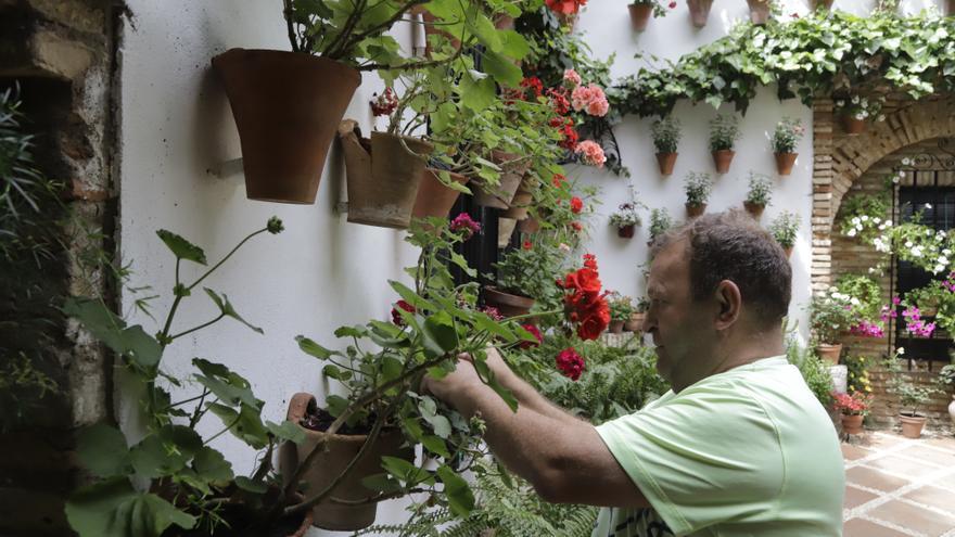 Cuatro casas patio de Córdoba dirán adiós con pena a sus actuales propietarios