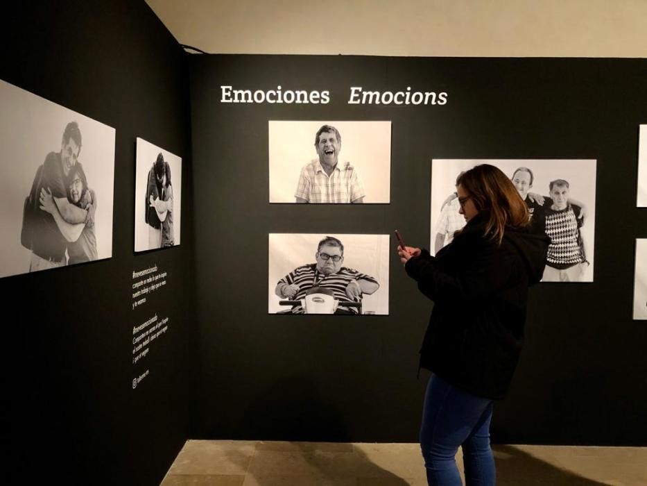 Imágenes de la exposición