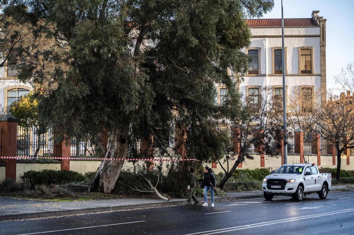 Fotogalería | El temporal en Cáceres, más imágenes