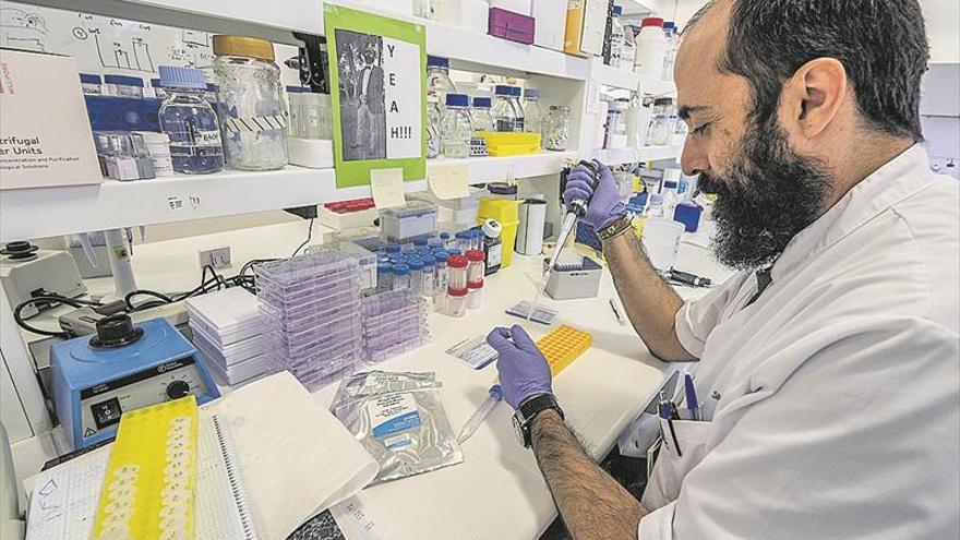 Duplicar la investigación en cáncer elevaría la supervivencia un 70%