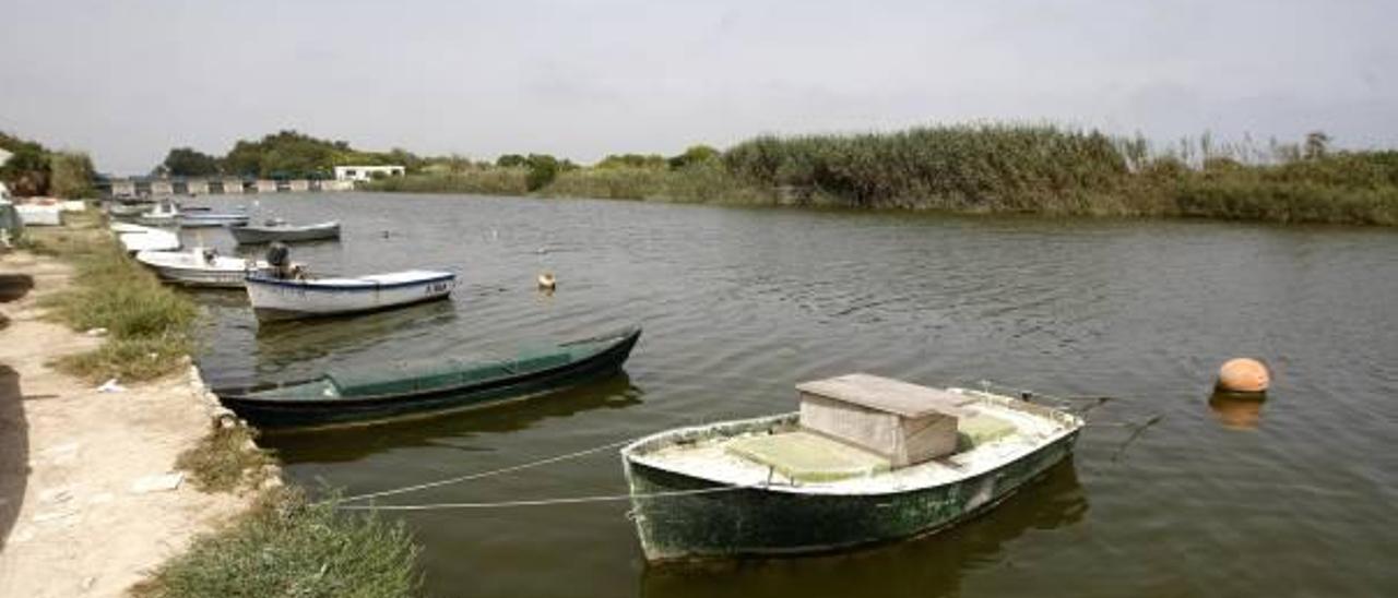 Las golas de El Perellonet y Pujol son dos de los lugares donde se pesca la angula.