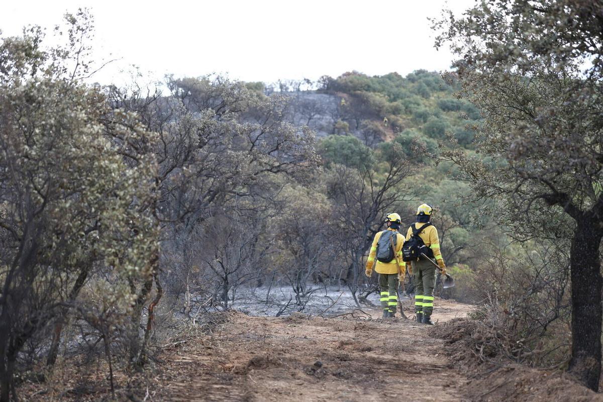 El Infoca trabaja en la extinción del incendio de Las Jaras en la sierra de Córdoba