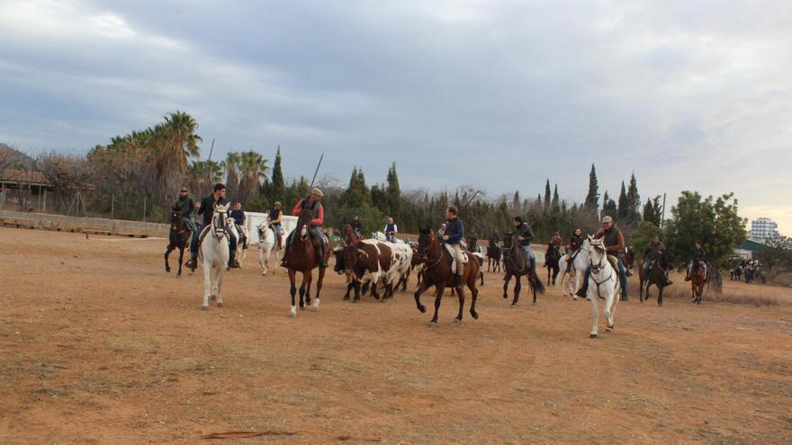 Las fotos del primer encierro campero en las fiestas de Benicàssim