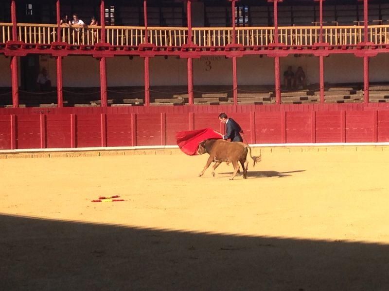 Fiestas en Toro | Becerrada de las peñas