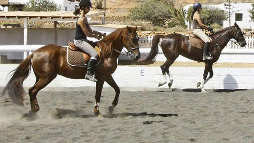 Los caballos del Club Hípico &#039;Las Ánimas&#039; de Tetir se preparan en sus instalaciones. i GABRIEL FUSELLI