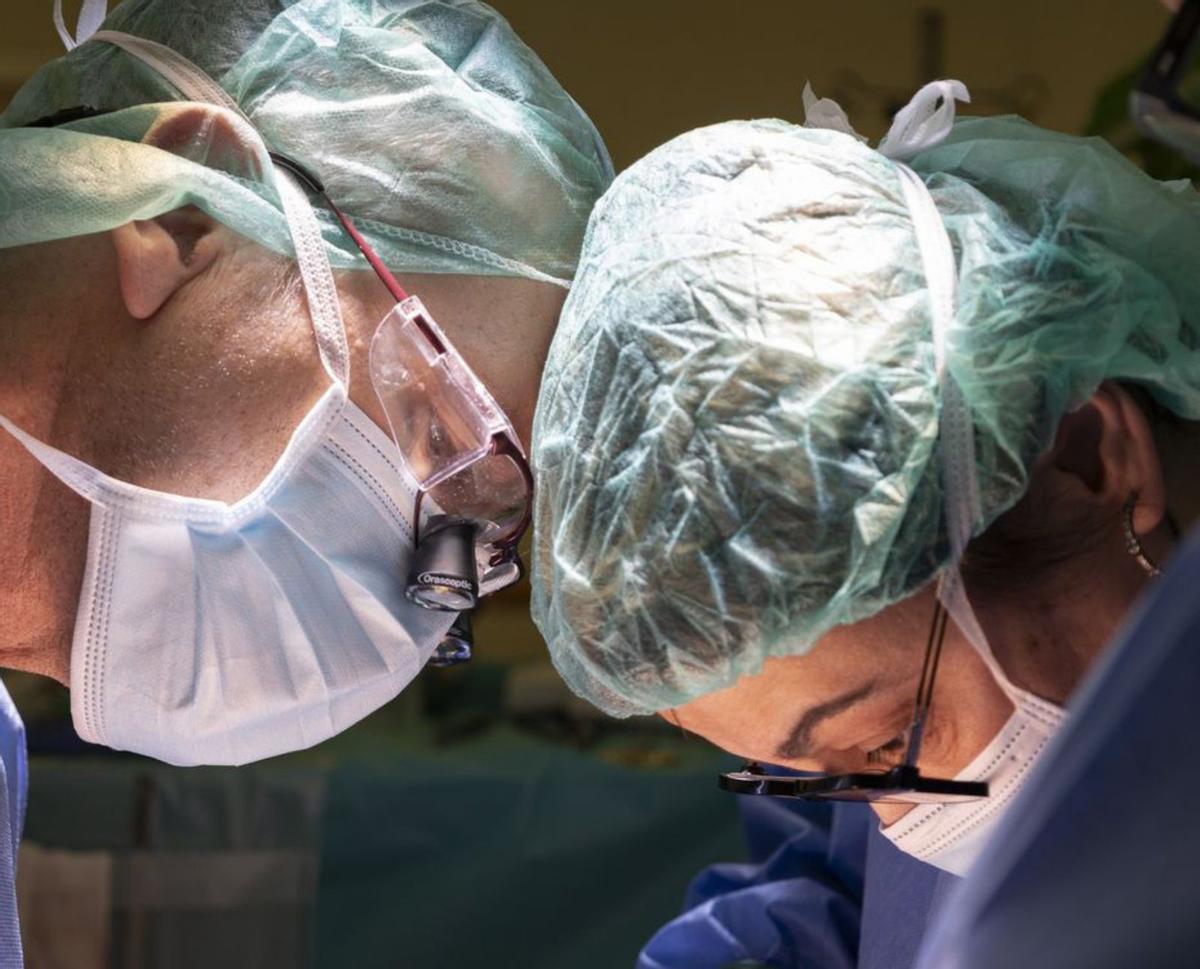 Bellvitge aconsegueix extirpar tumors de pàncrees inoperables Bellvitge aconsegueix extirpar tumors de pàncrees inoperables