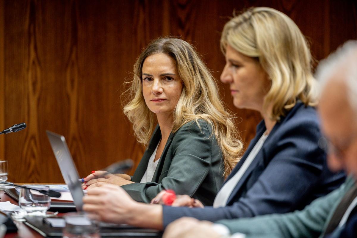 Sumelzo niega en la comisión del caso Koldo formar parte de la empresa de  su familia y denuncia "insidias" contra ella