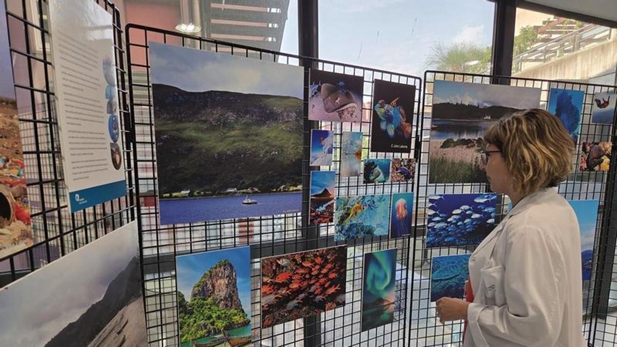 Imatge de l'exposició