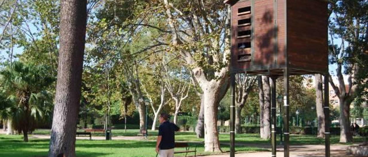 València actualizará en otoño el censo de sus 400 cotorras argentinas y 36.000 palomas