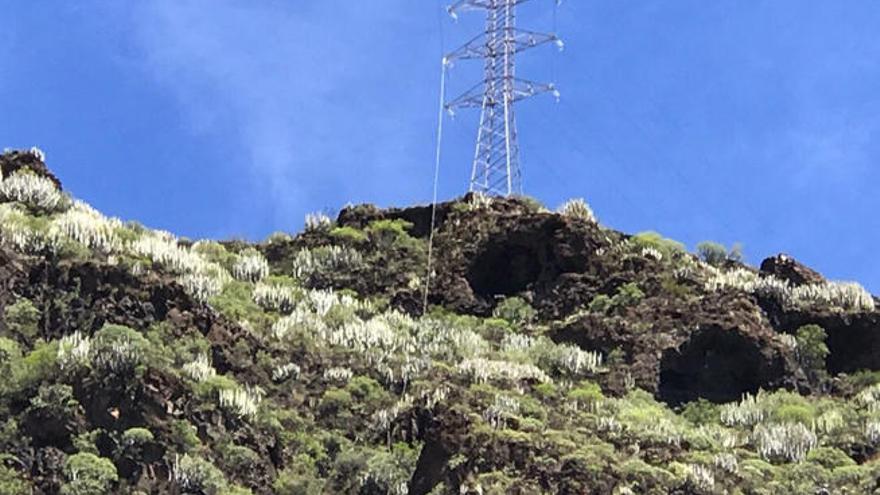 Un operario herido en una subestación de Unelco en Tenerife