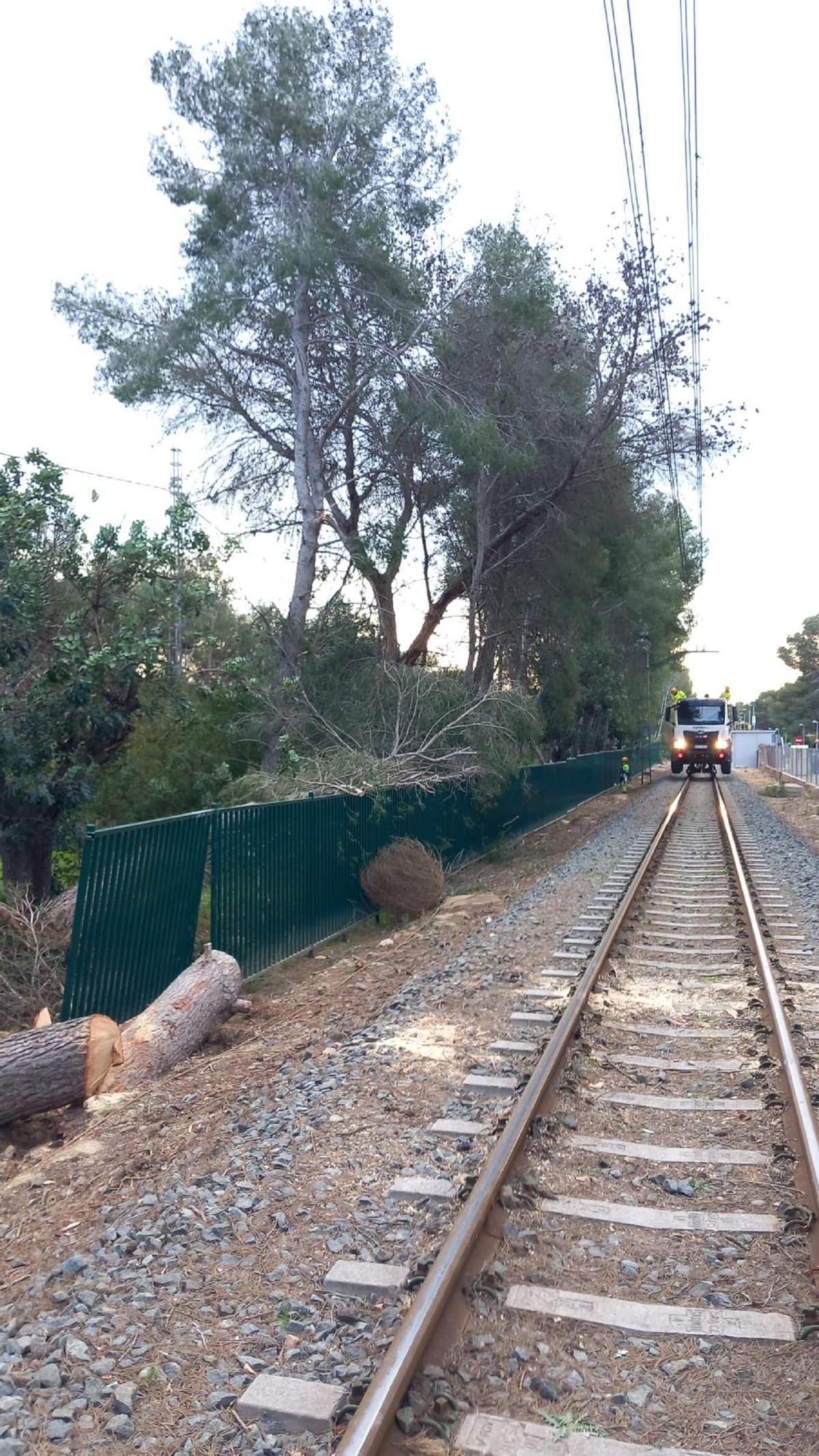 Reparación de la catenaria.