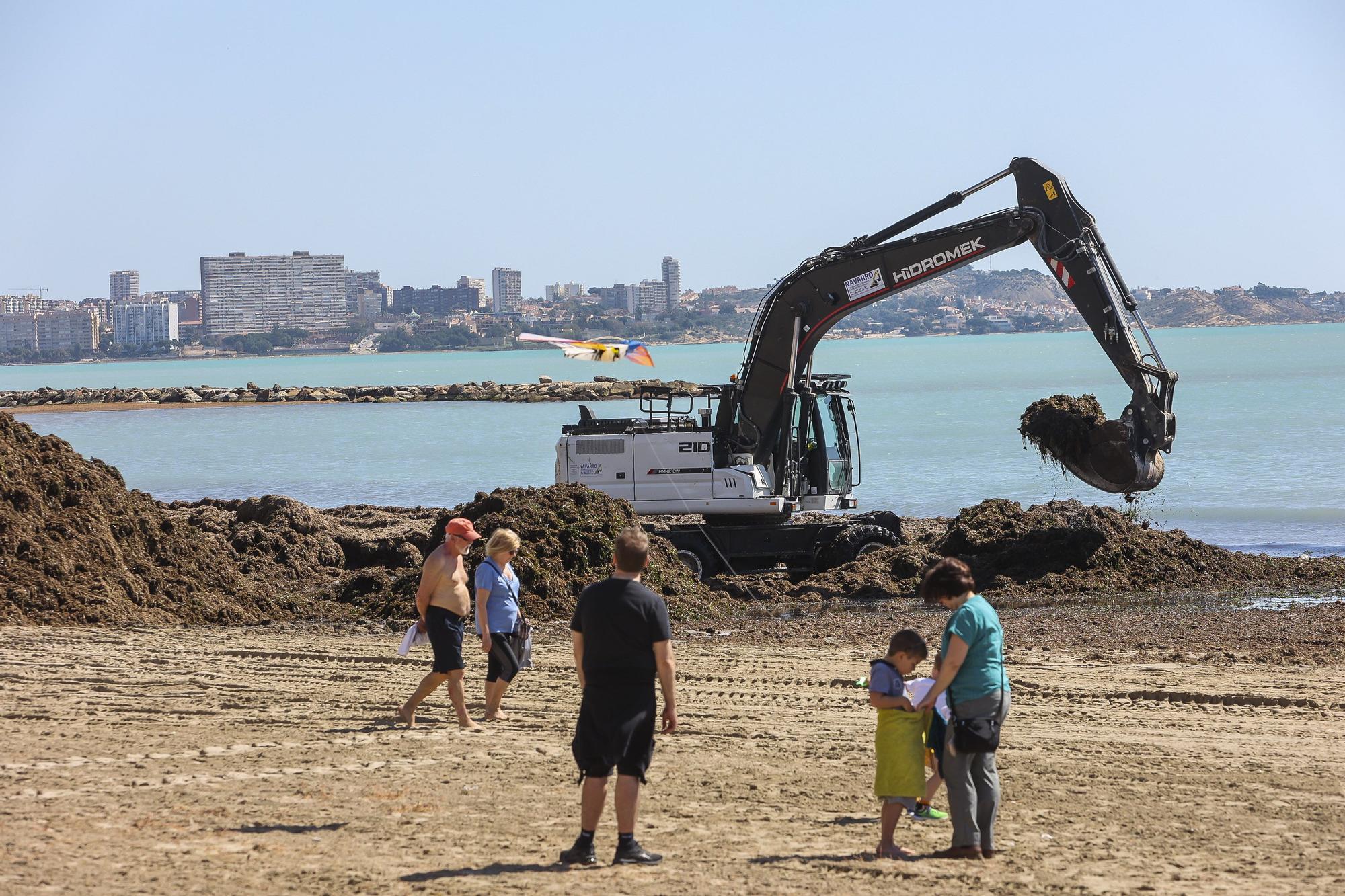 Playas llenas en Alicante mientras y limpieza de restos del temporal