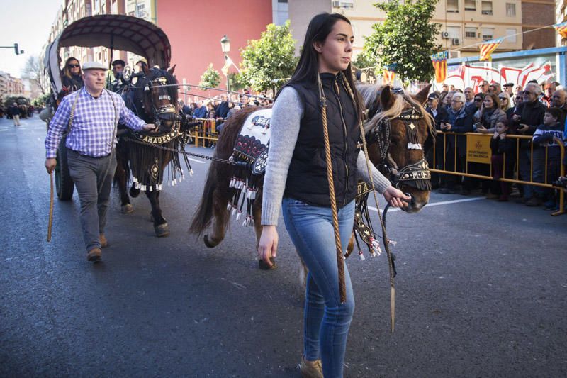 Bendición de animales por Sant Antoni del Porquet