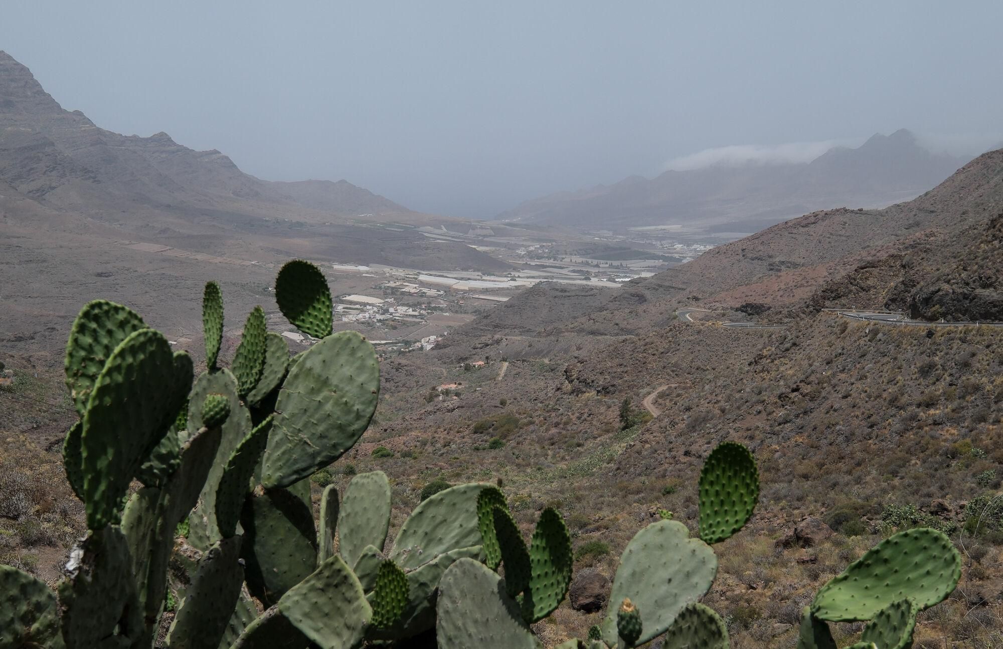 Ola de calor en el municipio de la Aldea de San Nicolás