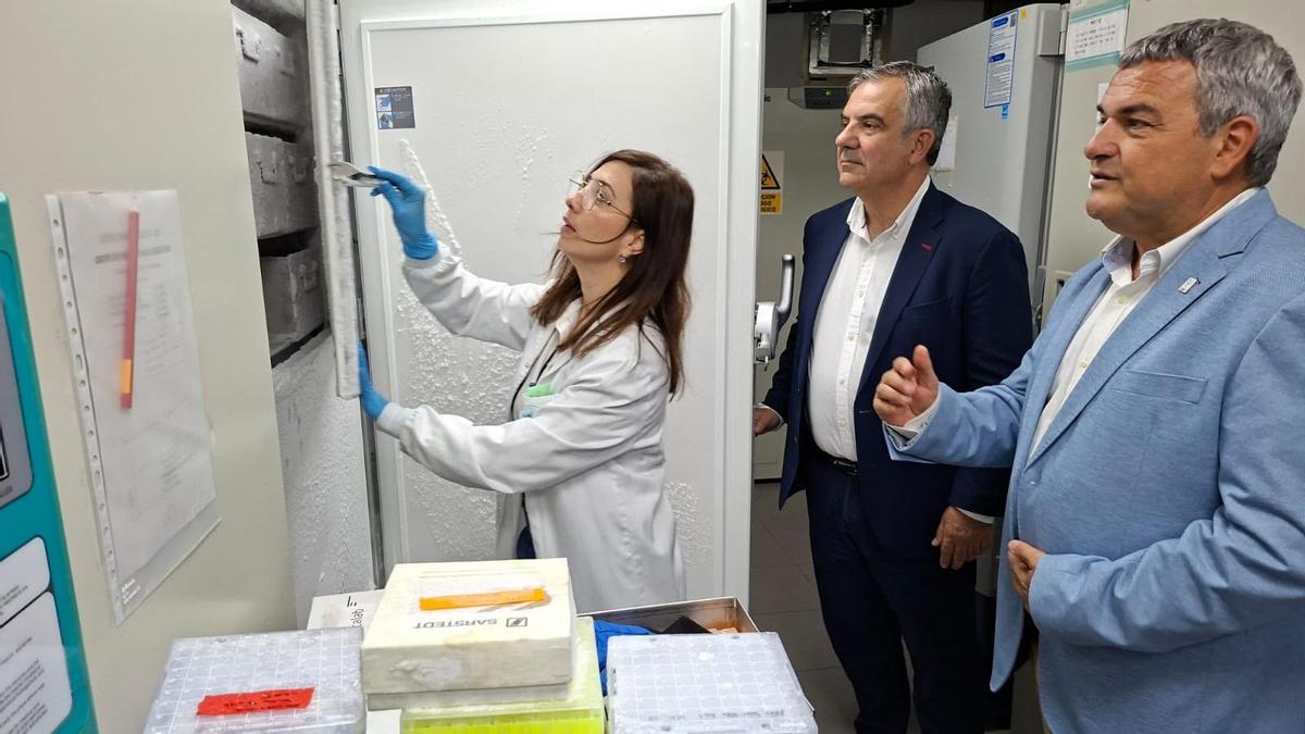Las líneas de investigación financiadas abarcan algunos de los principales desafíos científicos y sociales actuales.