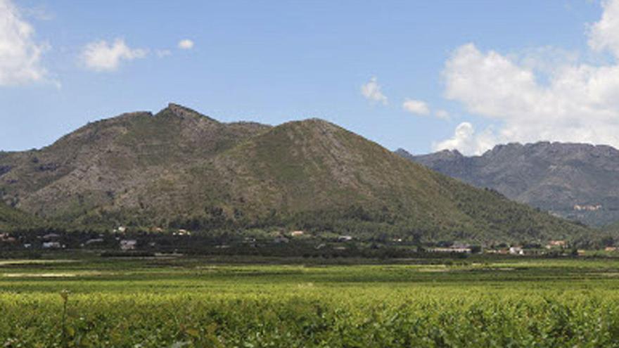 Bodegas Xaló, una historia de Pasión por la Viña