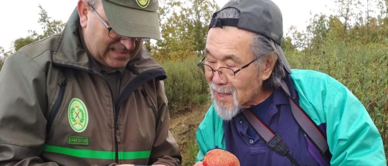 Andres Castaño, Guarda Mayor de Zamora explica las características del Boletus edulis a un japonés en Mellanes. | Ch. S.