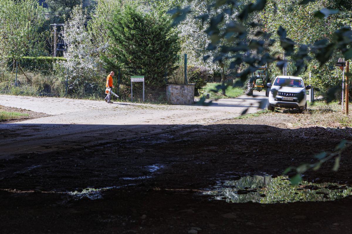 La pedra provoca afectacions en les vinyes al celler Collbaix