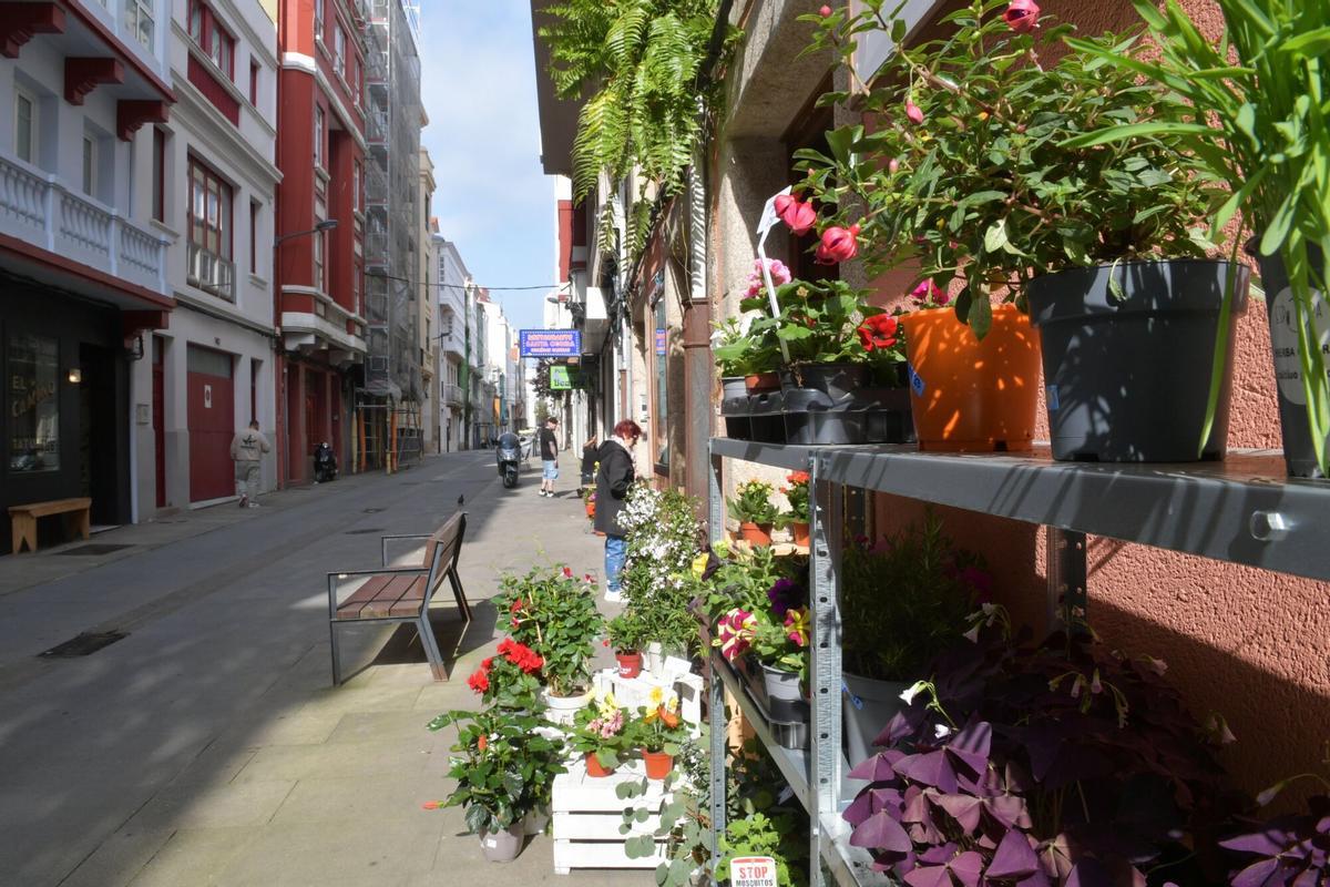 La nueva floristería en la calle Orzán