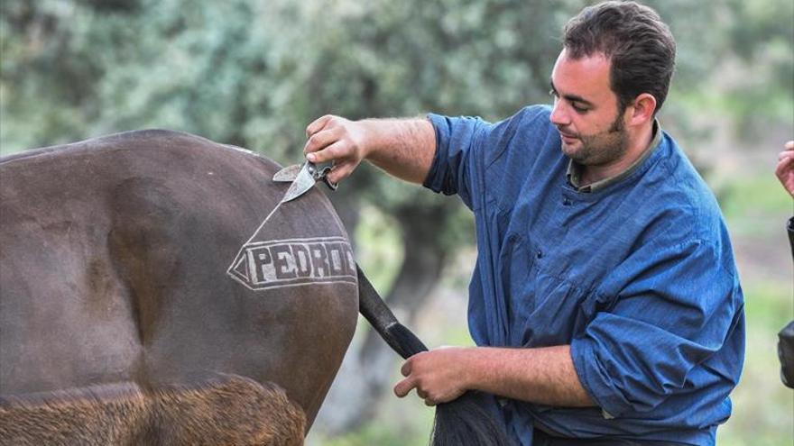 Viejos oficios del campo