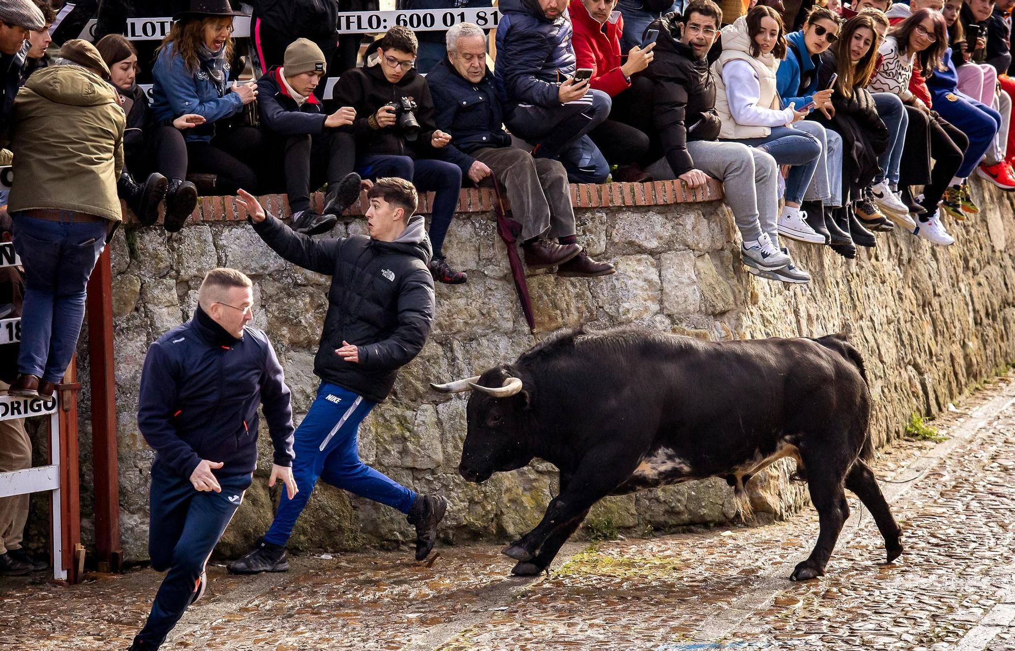 GALERÍA: Cinco heridos durante el encierro de Orive en el Carnaval del Toro de Ciudad Rodrigo