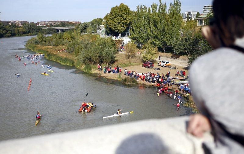 Campeonato de regatas en el Ebro