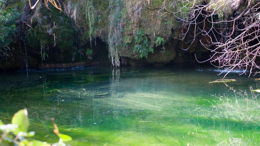 Picassent quiere proteger el Clot de les Tortugues como paraje natural