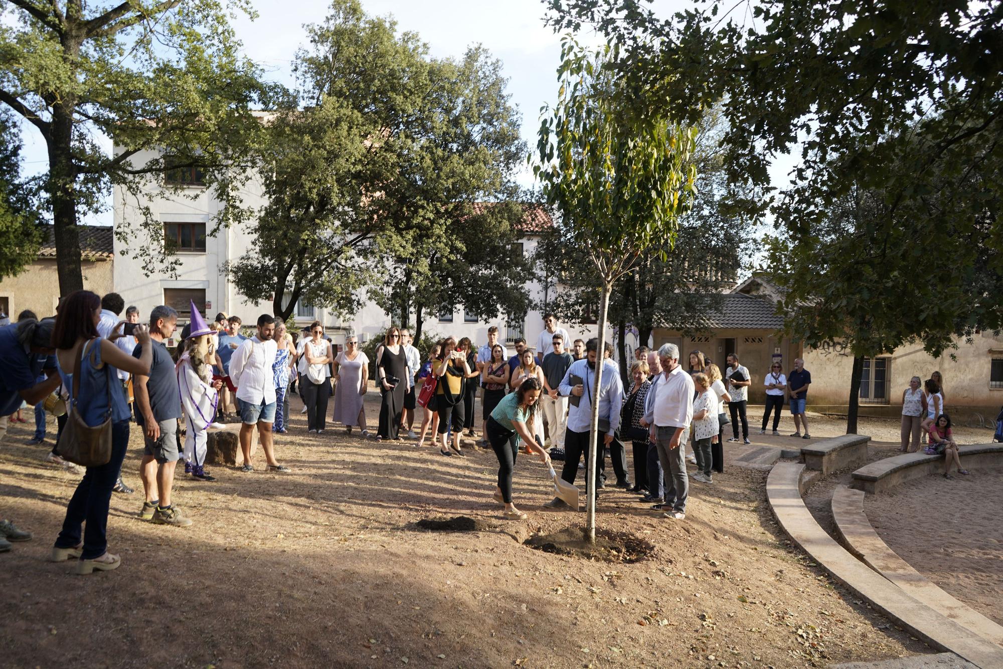 La Festa de l’Arbre Fruiter de Moià, en fotos