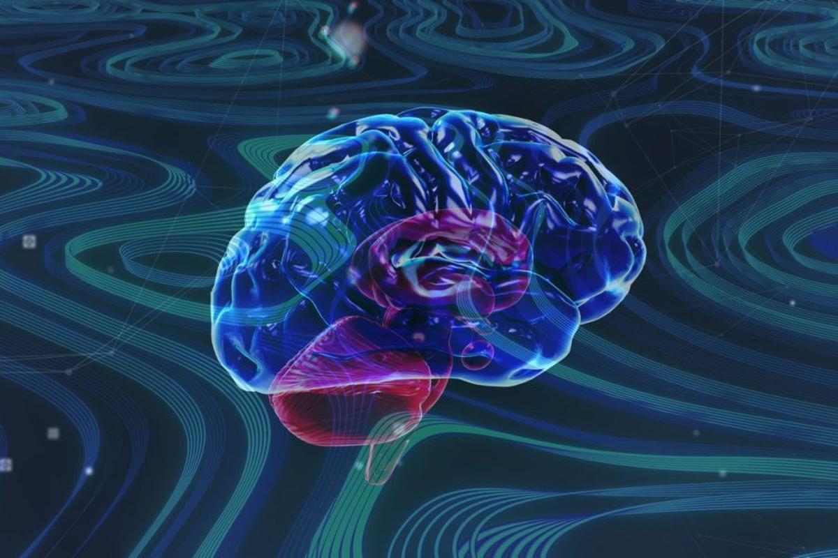 La neurociencia suma fuerza en el mundo del fútbol