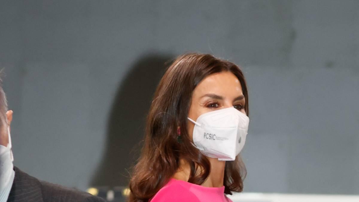 La reina Letizia en la entrega de las medallas de oro al mérito en las Bellas Artes.