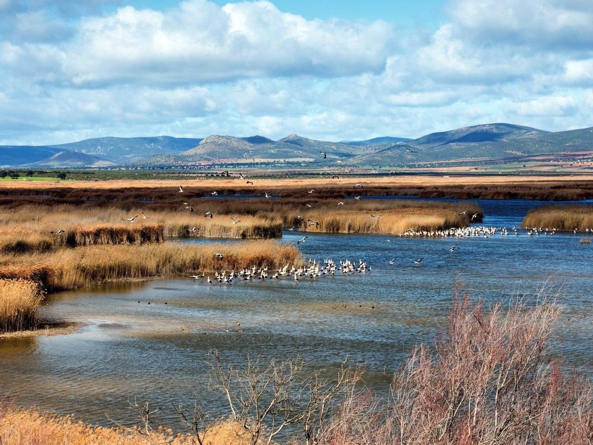 Tablas de Daimiel, Naturaleza, Destinos 2023