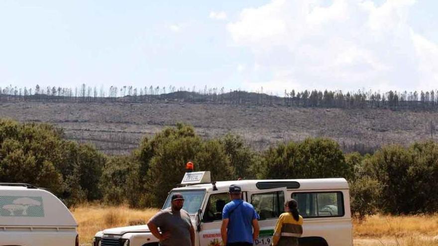 Medios desplazados a Ferreruela para extinguir el incendio.