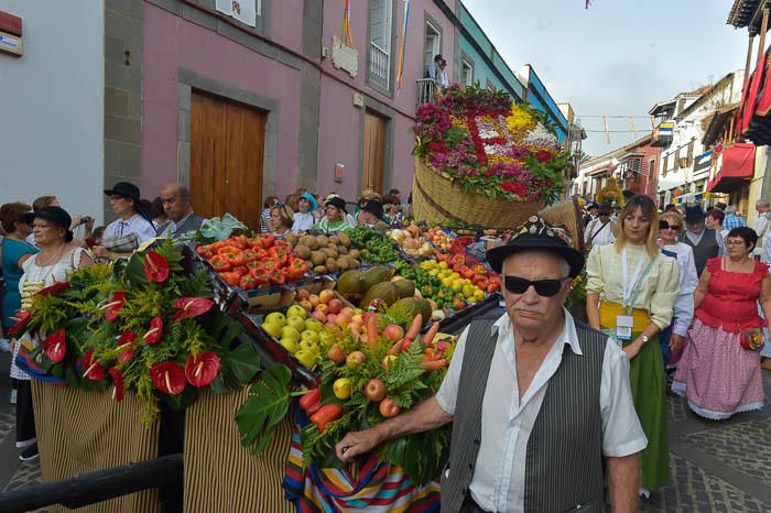 Carretas y grupos en la romería del Pino