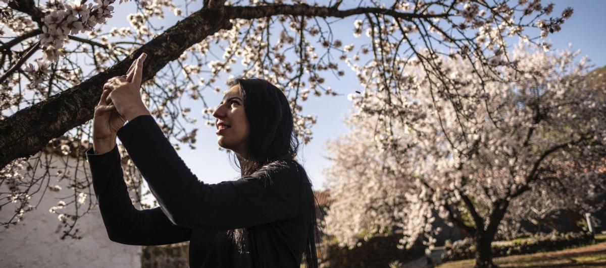 Una senderista se deleita con los almendros en flor de Santiago del Teide.  | A.G.
