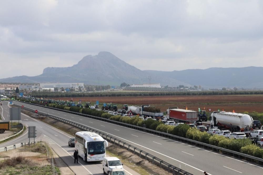 Tractorada de los agricultores y ganaderos malagueños contra los precios bajos que impone la industria.