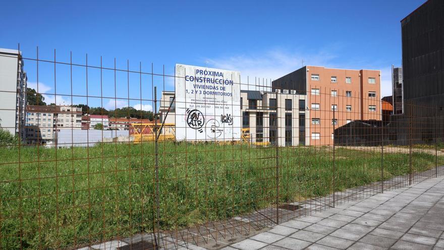 Parcela de Bosque de Desamparados. | Noé Parga