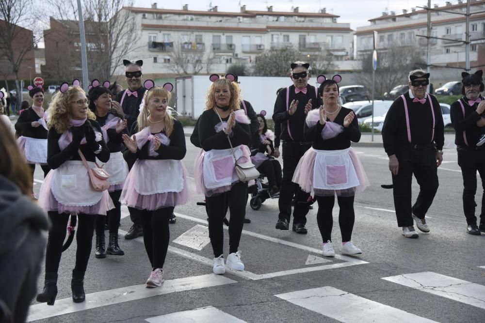 El Carnaval d''Artés en imatges