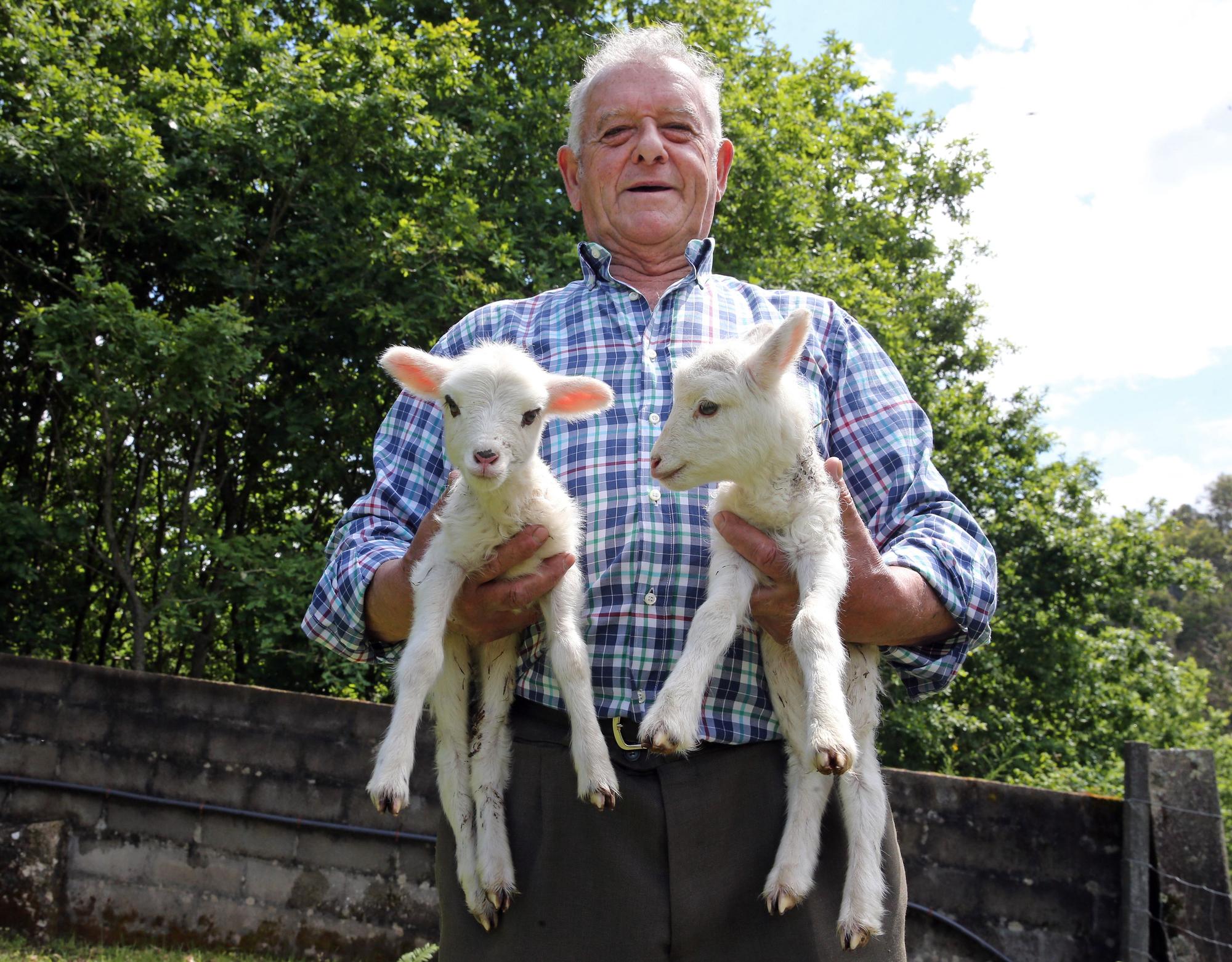 Los quintillizos de Gondomar