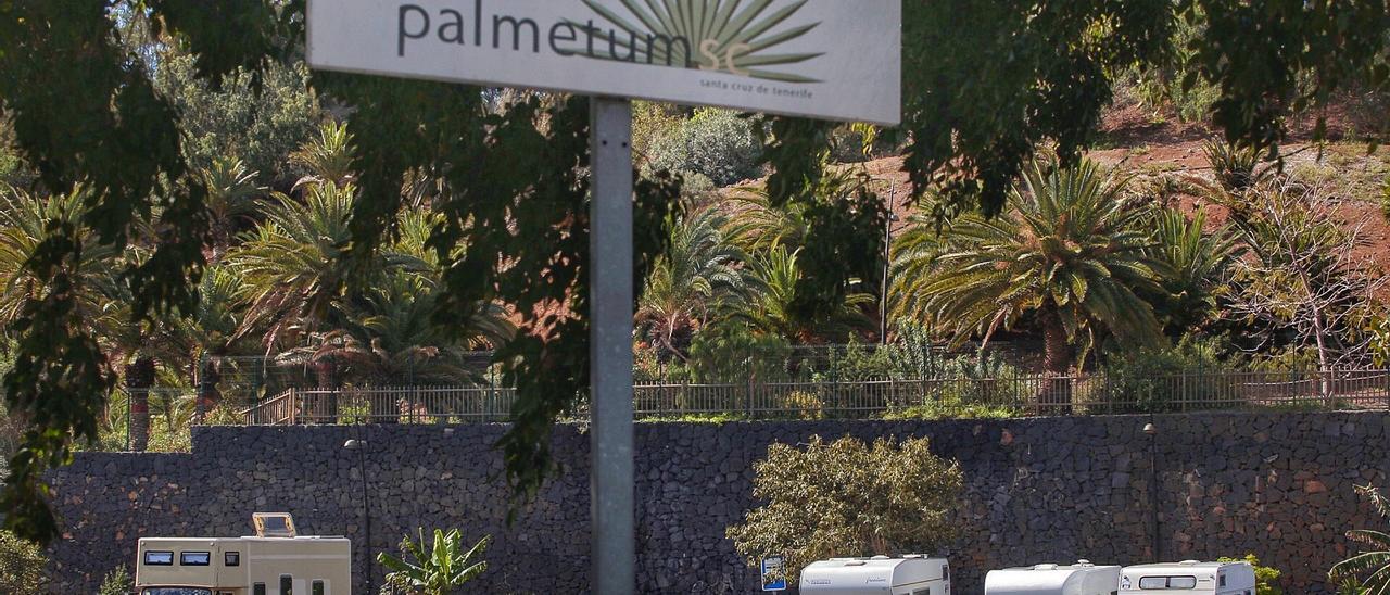 Explanada de aparcamiento del Palmétum, en Santa Cruz de Tenerife.