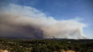 Recomiendan cerrar ventanas y usar mascarillas en varios municipios de Sevilla por el humo del incendio de Niebla