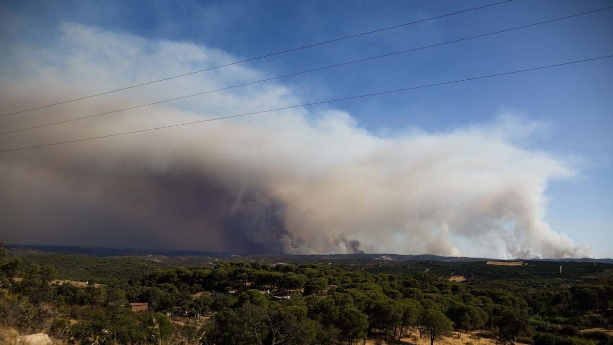 Recomiendan cerrar ventanas y usar mascarillas en varios municipios de Sevilla por el humo del incendio de Niebla