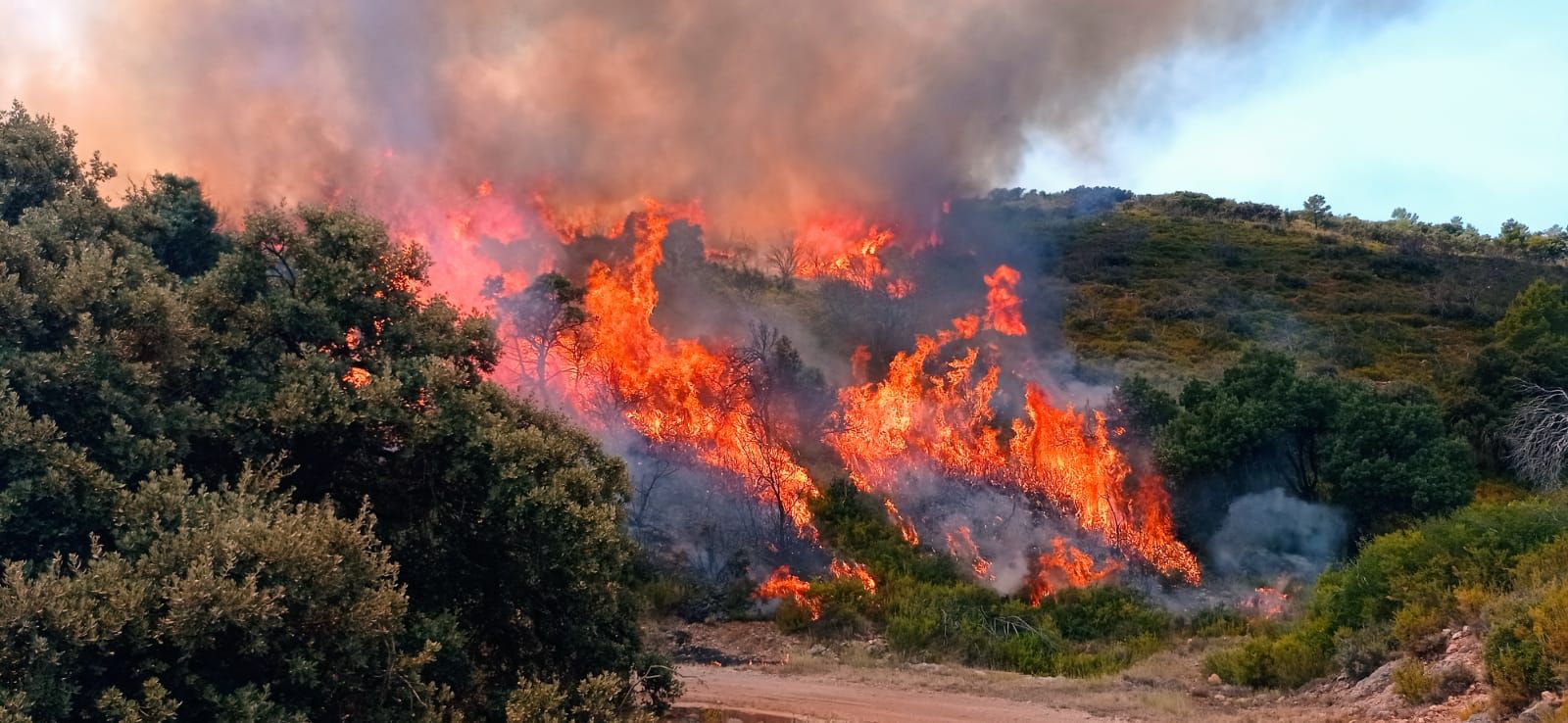 El incendio de Bejís, en imágenes