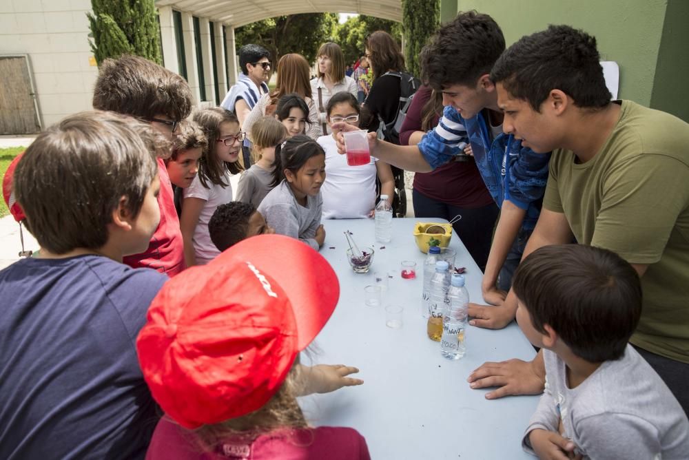 Primavera educativa en Valencia