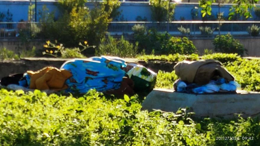 Un juzgado determinará si la indigente embarazada que vive en la calle ingresa de forma forzosa