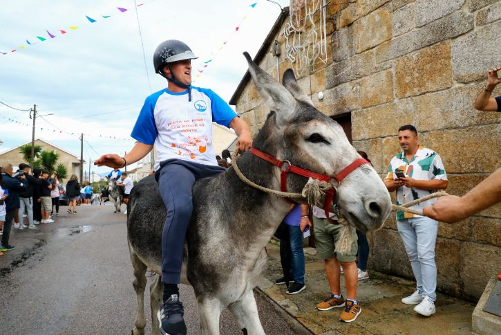 Los burros se lucen en el circuito de San Roque do Monte