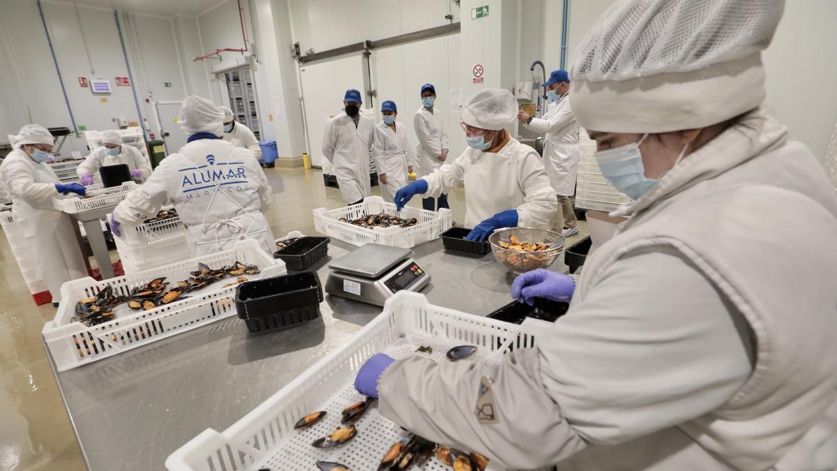 Las remodeladas instalaciones de Alumar, en Barro.