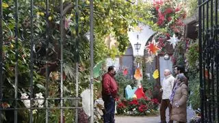 Navidad en los Patios de Córdoba: estos son los 39 recintos que abren sus puertas desde el 7 de diciembre