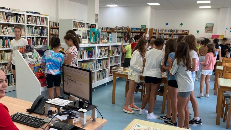 Cambio de horario en la biblioteca vikinga, “hasta nuevo aviso”