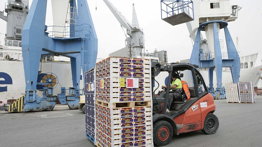 Exportaciones: caída libre de las mandarinas de Castellón en el inicio de la campaña de la naranja